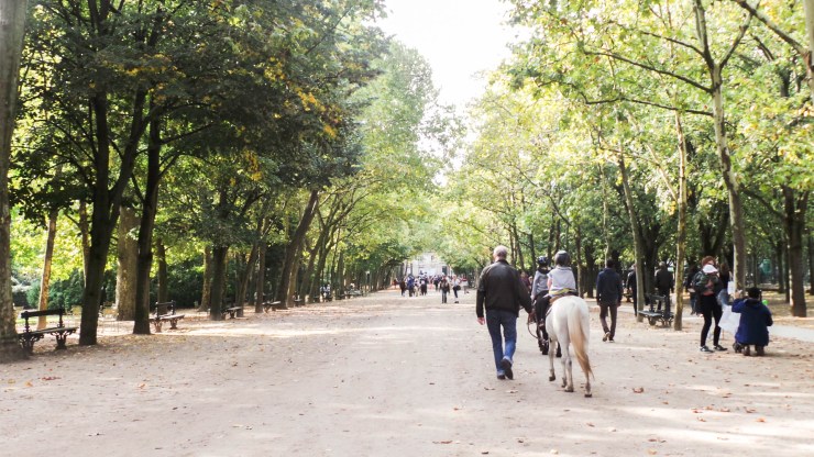 jardin-du-luxembourg-5