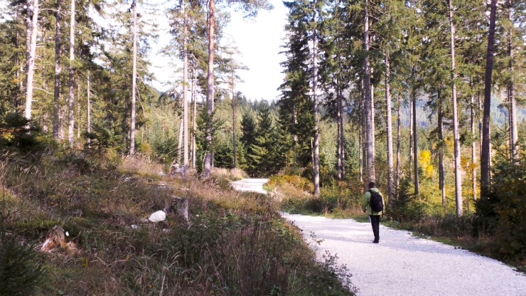 The walk to Grüner See